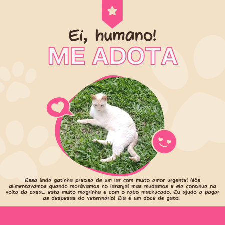 Essa linda gatinha precisa de um lar com muito amor urgente! Nós alimentavamos quando morávamos no laranjal mas mudamos e eka continua na volta da casa... esta muito magrina e com o rabo machucado